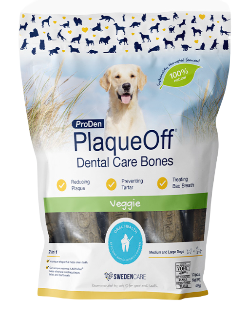 ProDen Plaque Off - Dental Care Bones Veggie 482g - Hund - Hundgodis - Dentaltugg & Tandtugg - ZOO.se