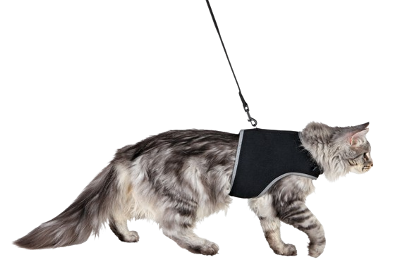 Trixie - Kattsele mjuk med koppel XXL, 36-54cm, 1,20 m, svart - Katt - ZOO.se