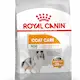Royal Canin Coat Care Adult Mini Torrfoder för hund