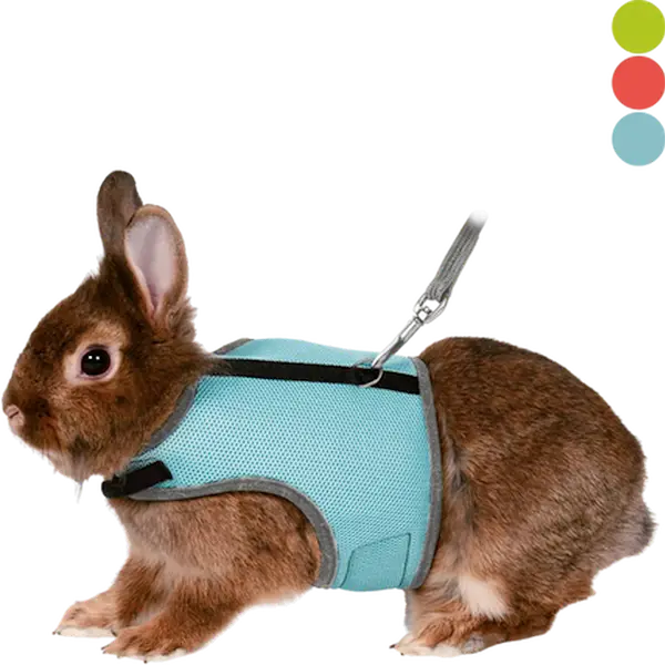 Soft Soft Harness with Leash Rabbit Mix 25-32 cm
