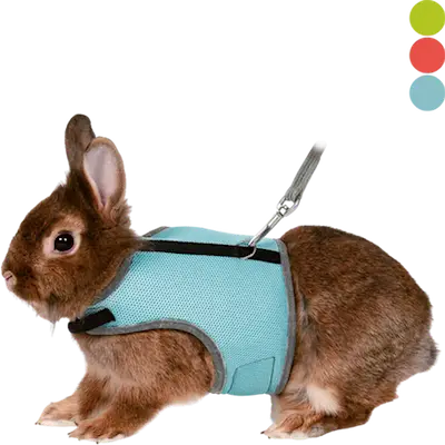 Soft Soft Harness with Leash Rabbit