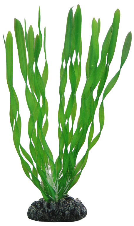Hobby - Plastväxt Vallisneria 20 cm - Akvaristik - Akvarieinredning - ZOO.se