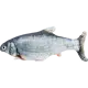 Trixie Catnip Wriggle Fish Gray 30 cm