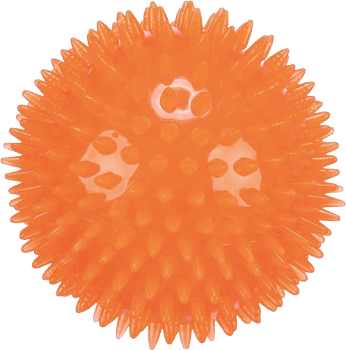 Trixie - Leksak igelkottsboll TPRgummi 8cm flytande - Hund - Hundleksaker & Spel - ZOO.se