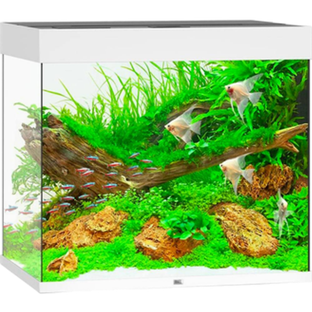 Juwel - Lido LED Aquarium White 120 L - Akvaristik - Akvarium - Akvarium & startpaket för akvarium - ZOO.se