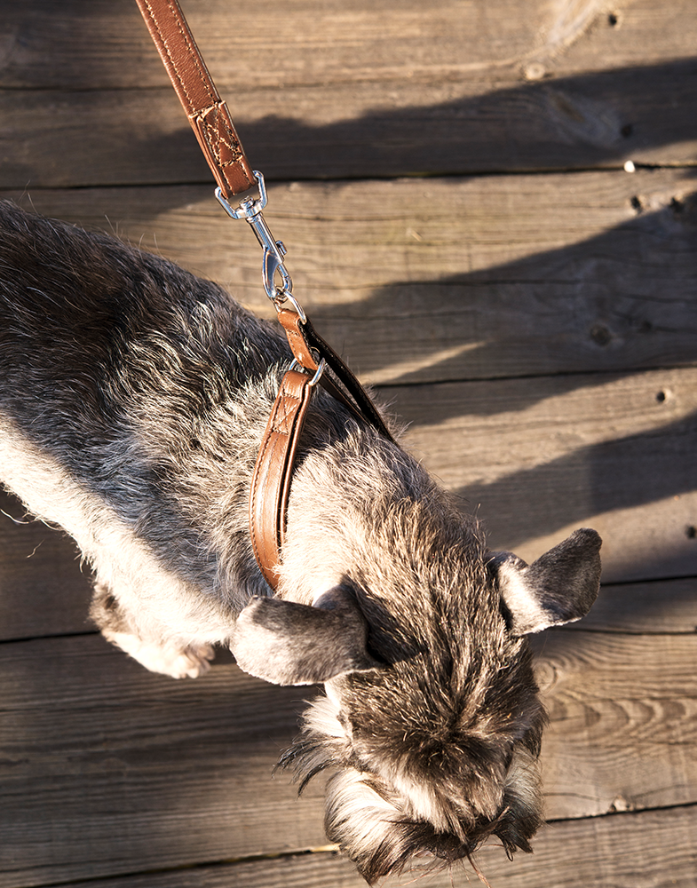 GE 210520, GE 210525, GE 210527, GE 210530, GE2105