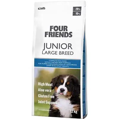 Dog Junior Large Breed