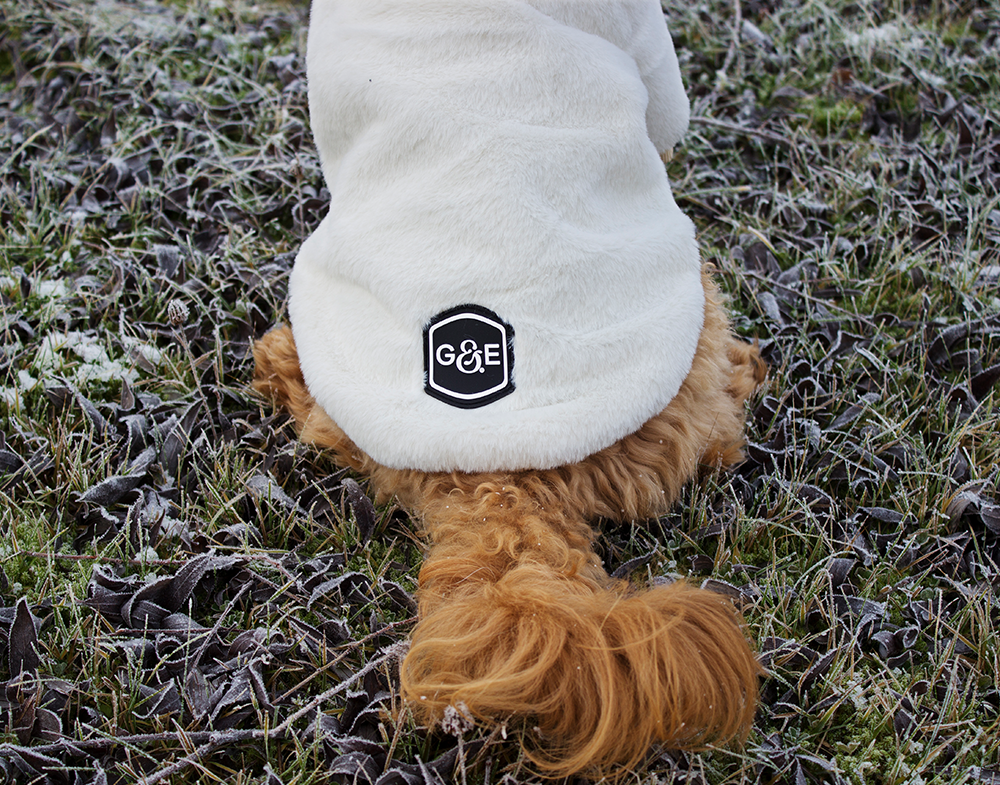 20545, 20546, 20547, 20548, 20549 (3).png