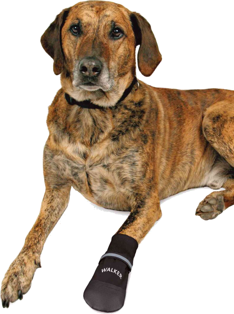 trixie_dog_ontour_dogclothing_walkercare_comfort_p