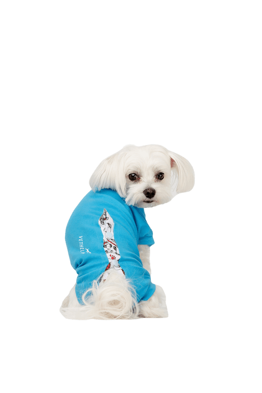 VetHelp - Recovery Suit Blue Hane Nr D5 - Hund - Hundvård & Tillskott - Skyddskragar & Hundkragar - ZOO.se