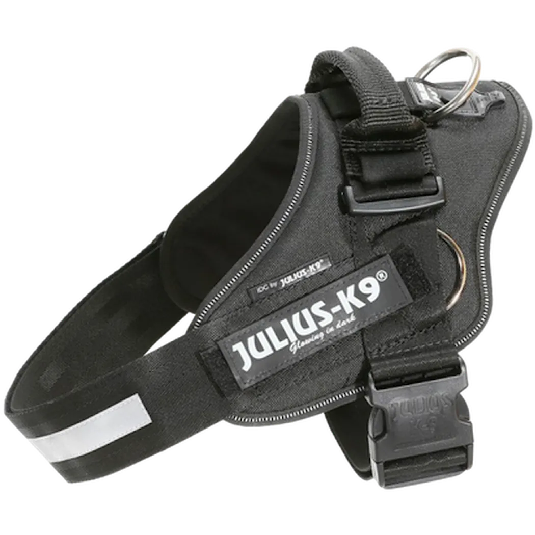 Julius-K9 IDC Powerharness with Side Rings Dog Harness