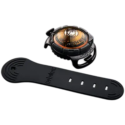 Safety Light Dog Dual Dark LED - With Quick Mount & Adjustable Strap