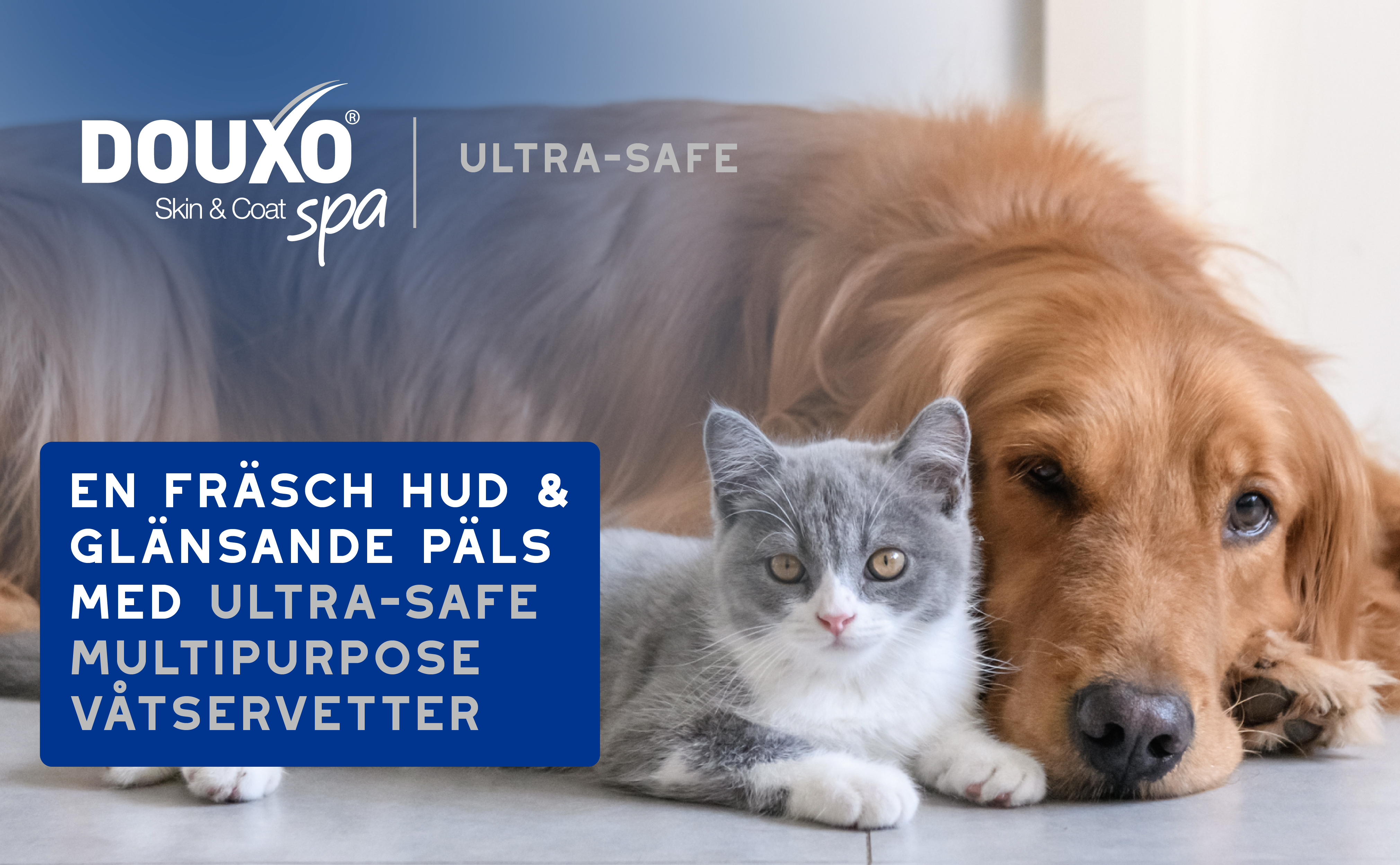 Multipurpose-våtservetter-3411113154295-SE_BTF_Ba