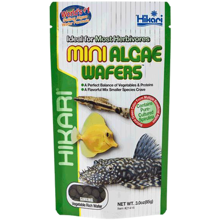 Hikari - Mini-Algae Wafers 22g - Akvaristik - Fiskfoder & Fiskmat - Fodertabletter - ZOO.se