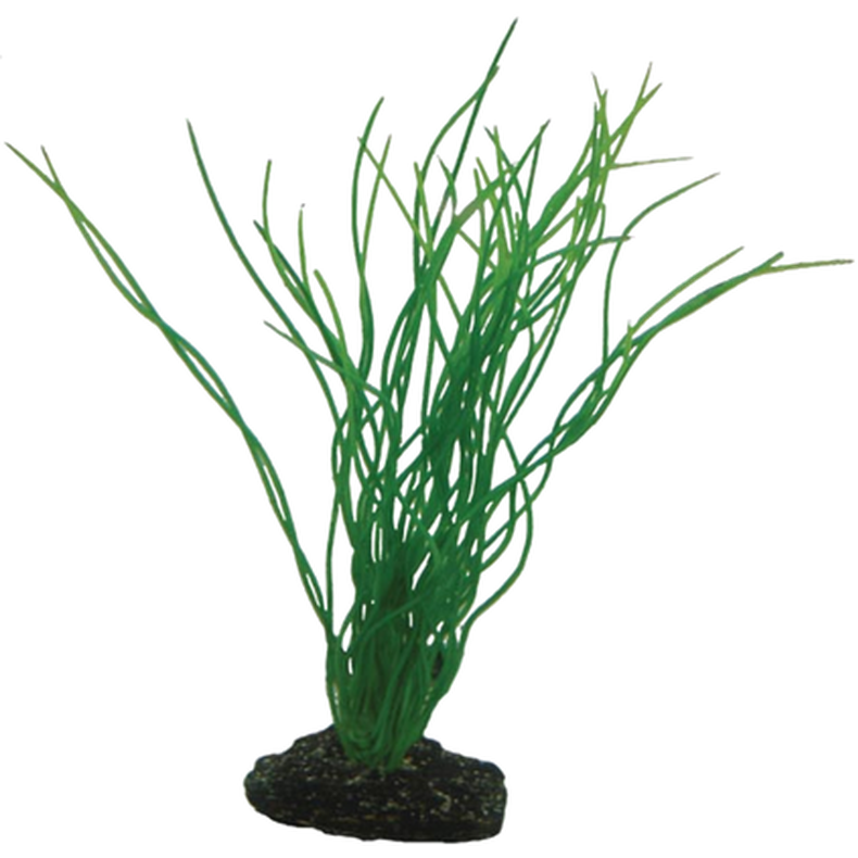 Hobby - Plastväxt Sagittaria 20cm - Akvaristik - Akvarieinredning - ZOO.se