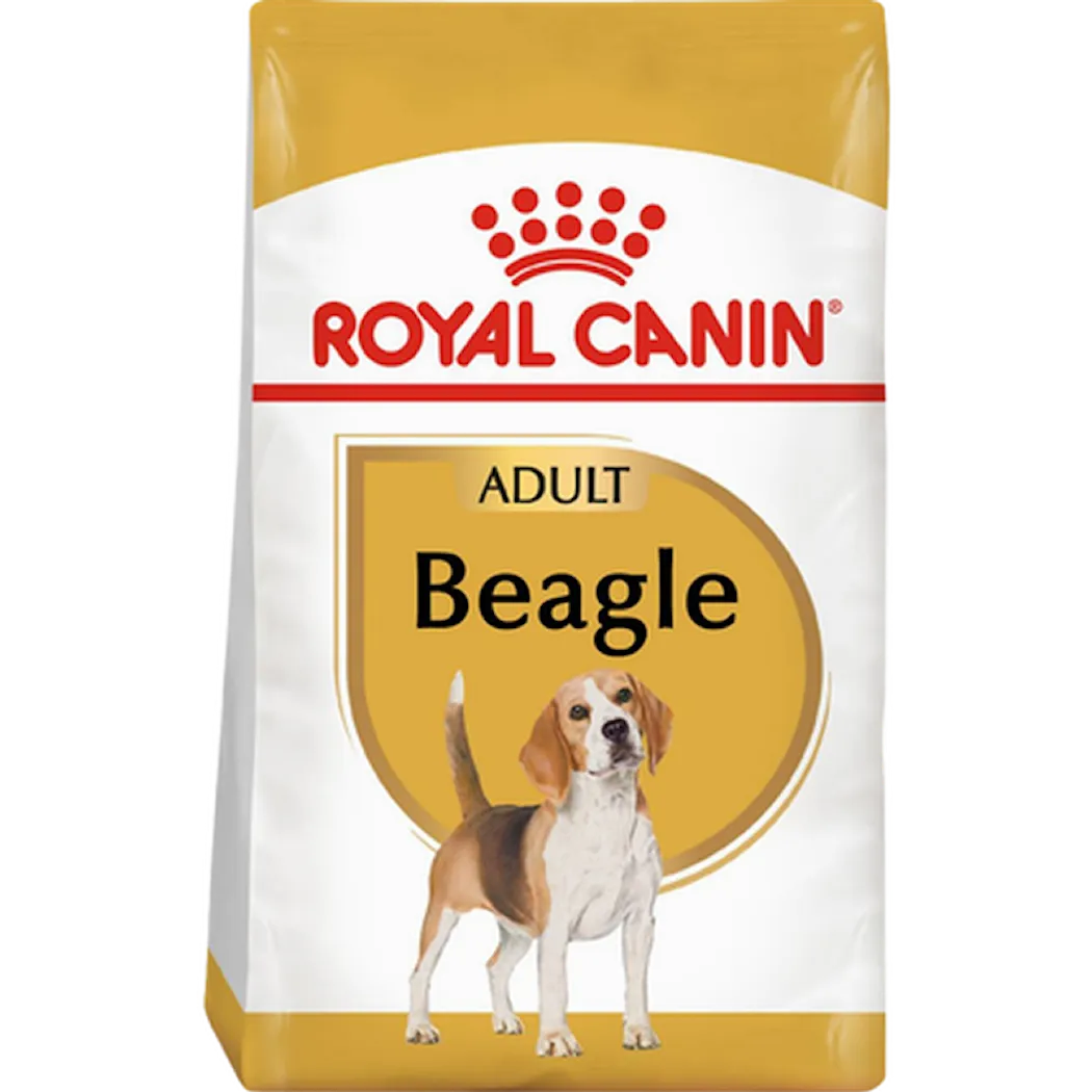 Breed Beagle Adult 12 kg