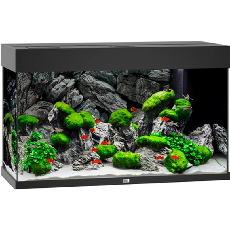 Juwel - Rio 125 LED svart akvarium - Akvaristikk - Akvarium & møbler - Akvarium - ZOO.no
