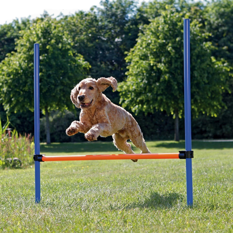 Trixie - Dog Activity Agility Hurdle - Fully Adjustable Height 123 x 115 cm - Hund - Hundetrening & bruksspor - Agility & flyball - ZOO.no