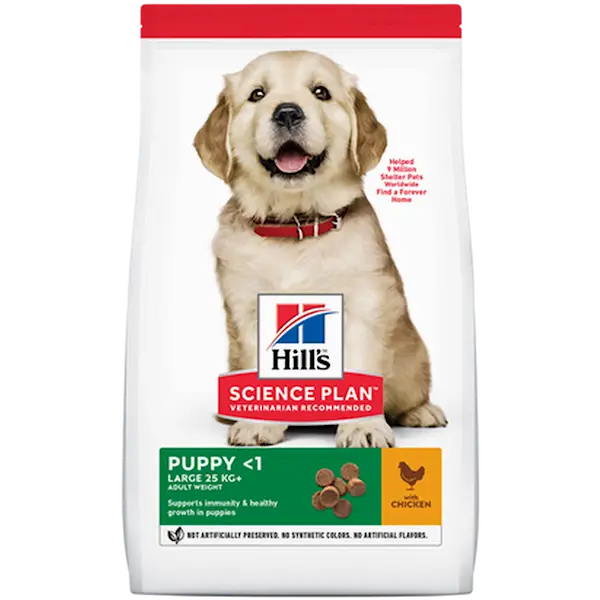 Puppy Healthy Development Large Breed Chicken - Dry Dog Food 14,5 kg