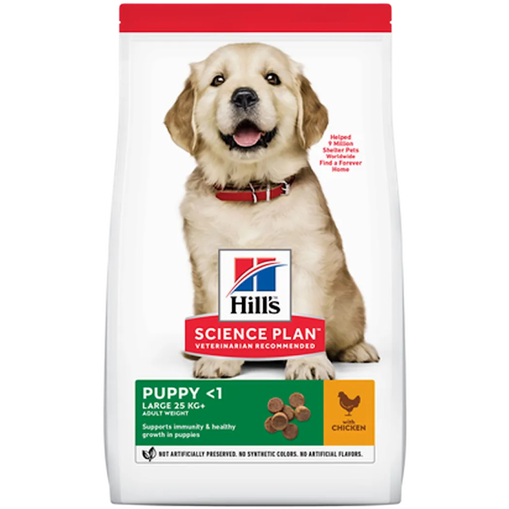 Hills Science Plan Puppy Healthy Development Large Breed Chicken - Dry Dog Food 14,5 kg