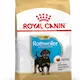 Royal Canin Rottweiler Puppy Torrfoder för hundvalp 12 kg