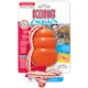 Kong Aqua Cool with Rope Dog Toy