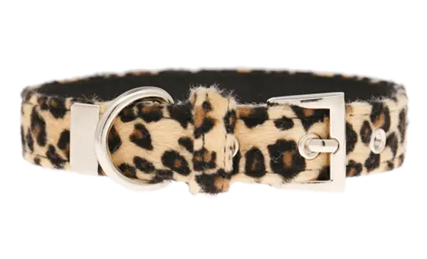 Hundehalsbånd Leopard Brown