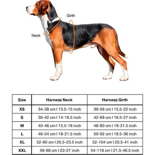 paikka_pet_dog_harness_walking_visibility_reflecti