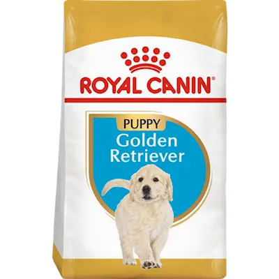 Golden Retriever Puppy koiranpennun kuivaruoka