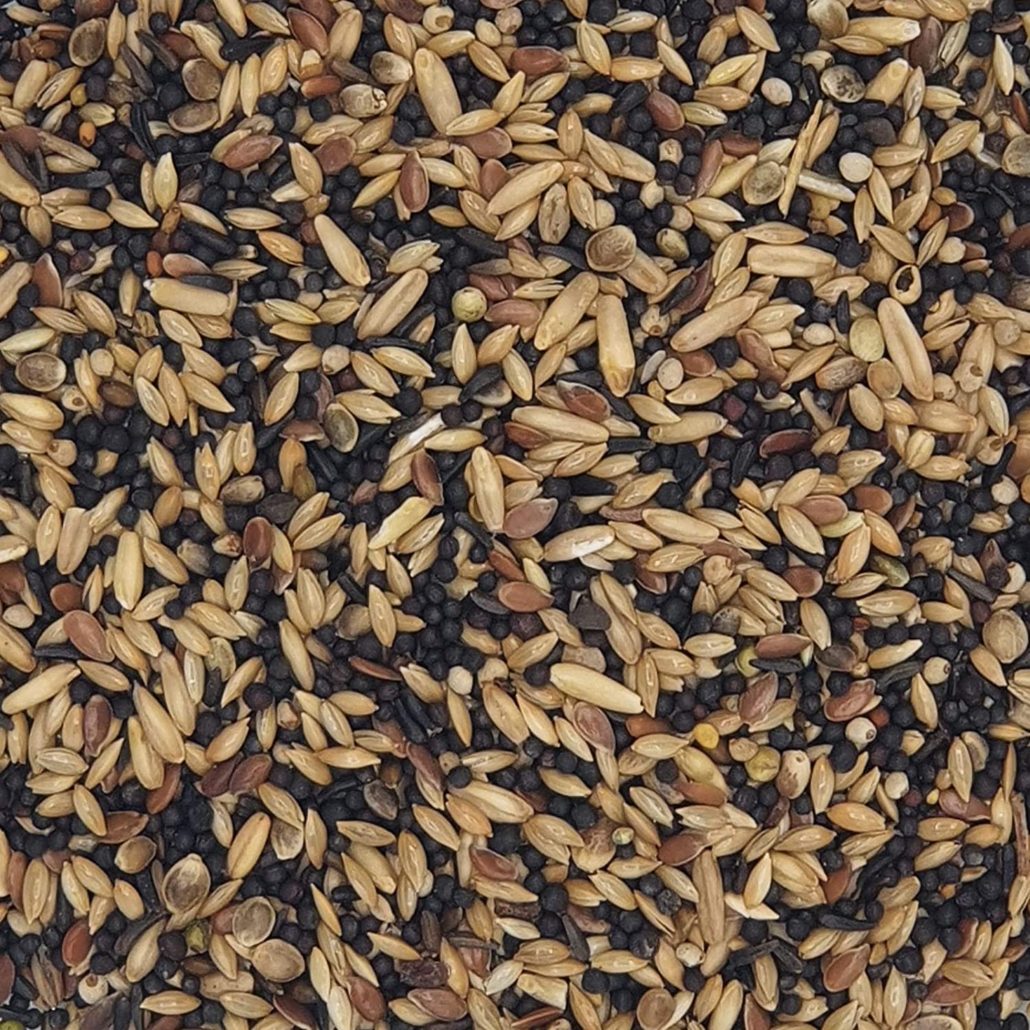 verselelaga_prestige_canaries_bird_food_seeds_mix_