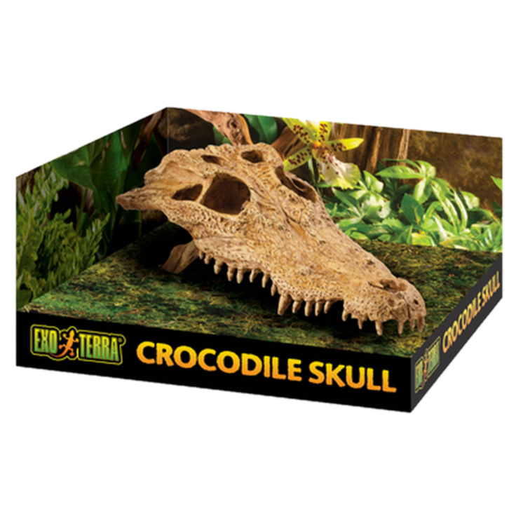 Exoterra - Crocodile Skull - Secure Hiding Place Beige 22 cm - Reptil - Terrarieinredning - ZOO.se