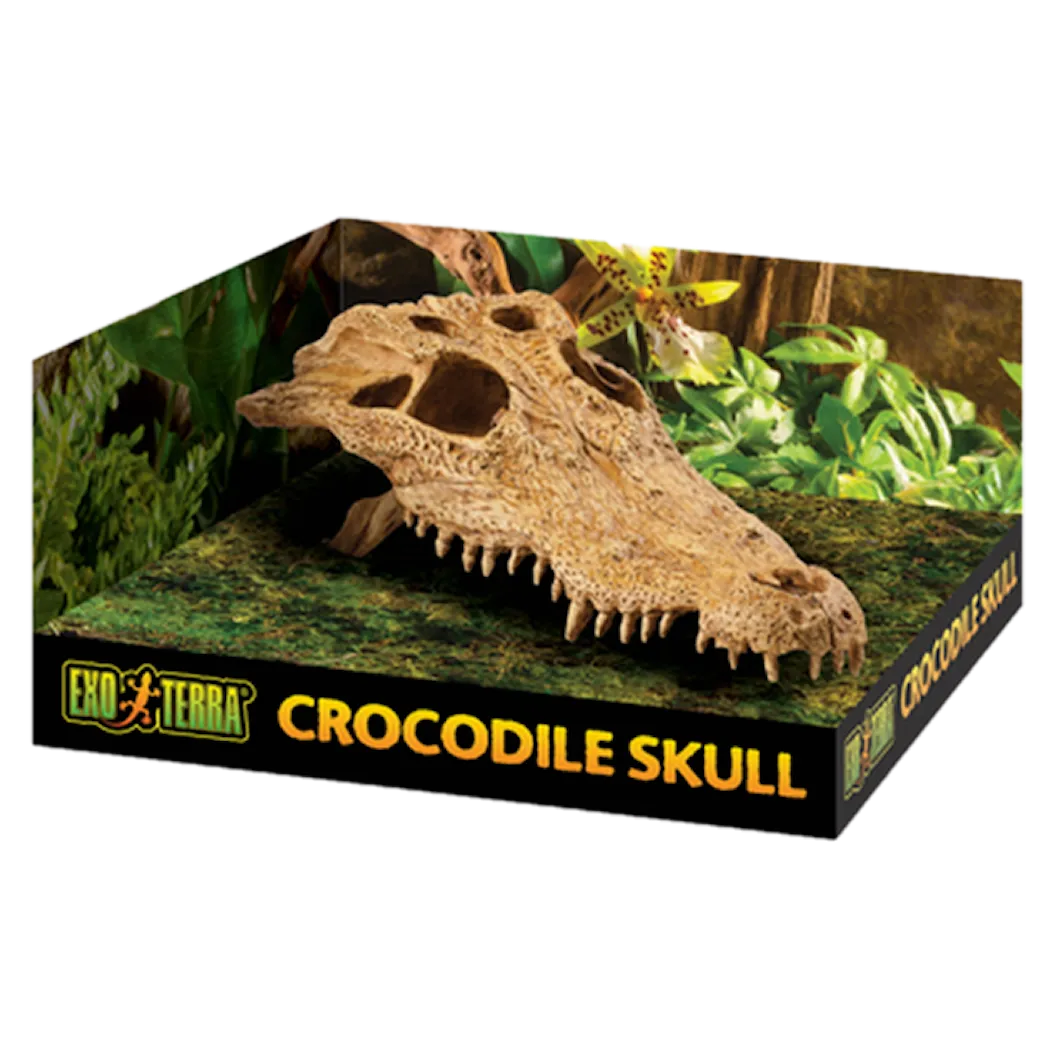 Exoterra Crocodile Skull - Secure Hiding Place Beige 22 cm