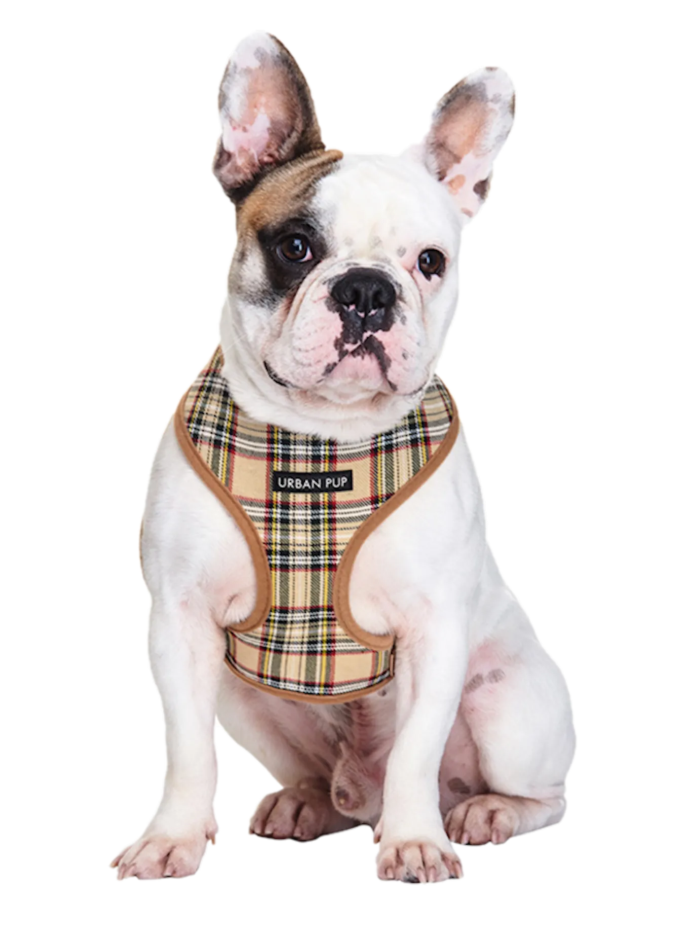 Urban pup tartan beige harness hund.png