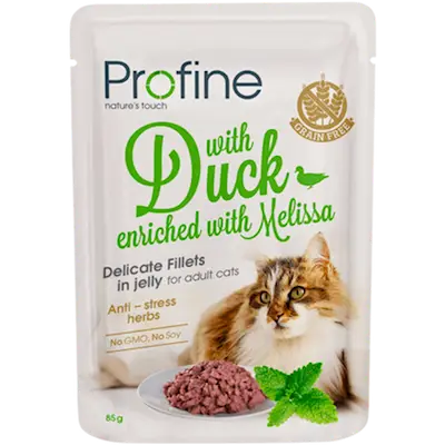 Cat Pouch Fillets Jelly Duck & Melissa