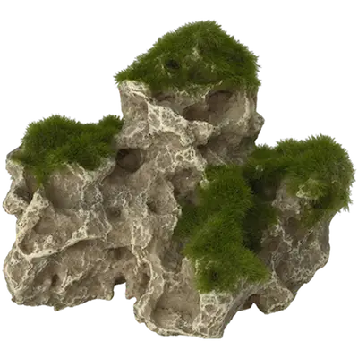 Moss Rock