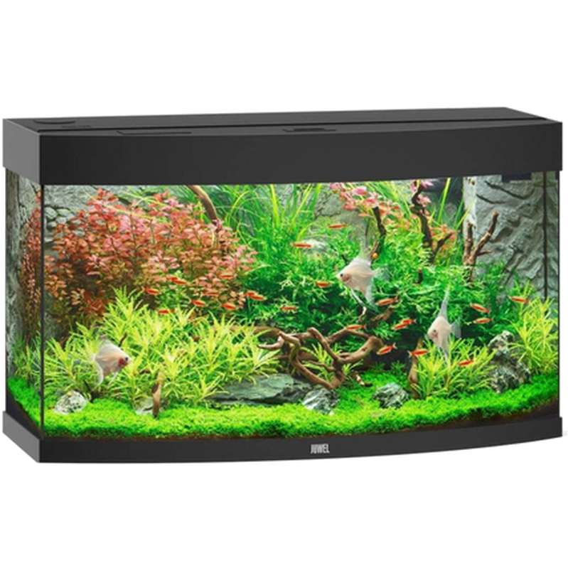 Juwel - Vision 180 Black Aquarium - Akvaristik - Akvarium - Akvarium & startpaket för akvarium - ZOO.se