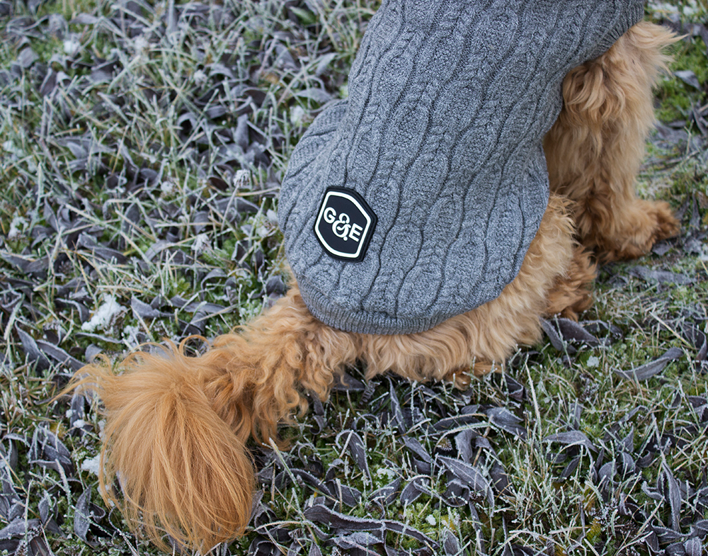 20540, 20541, 20542, 20543, 20544 (4).png