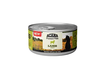 Cat Premium paté Lamb
