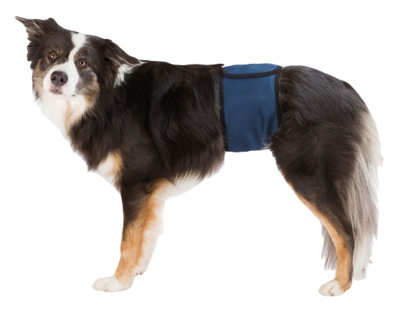 Trixie Hanhundsskydd