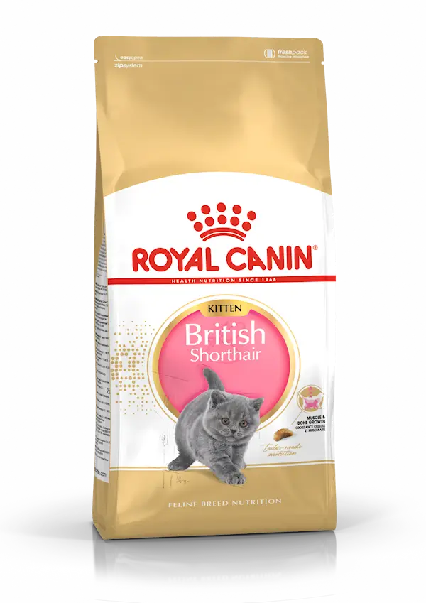 Feline Kitten British Shorthair 2 kg