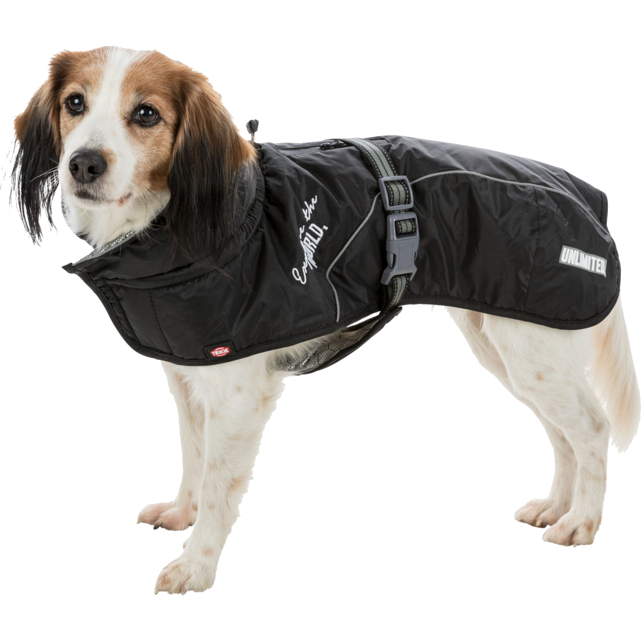 Explore Winter Coat for Dogs ZOO.no