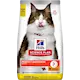 Adult Perfect Digestion Chicken & Rice - Dry Cat Food