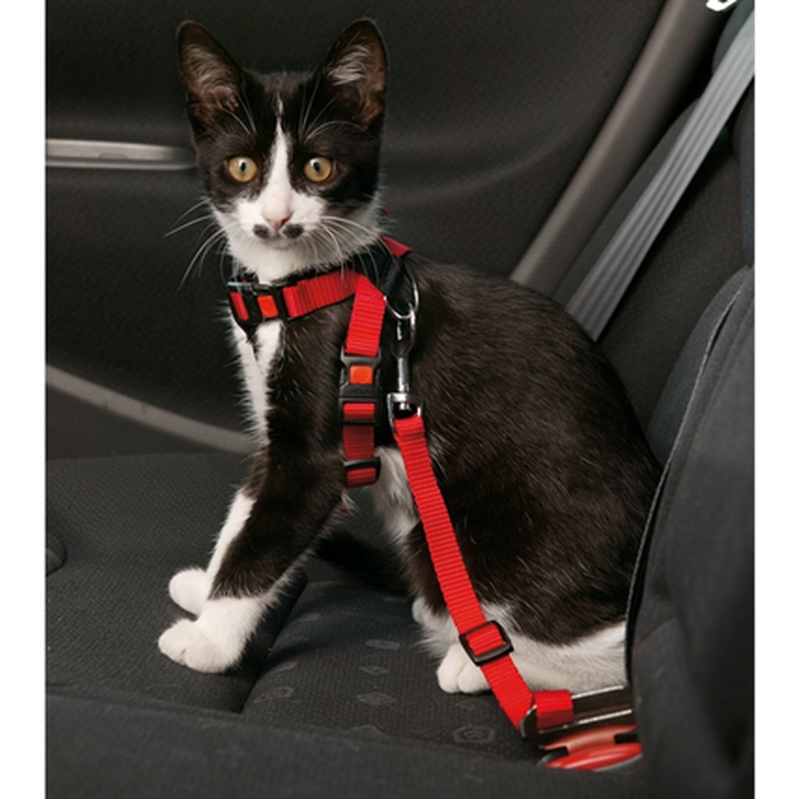 Car Safety Cat Harness Red 1 st ZOO.se