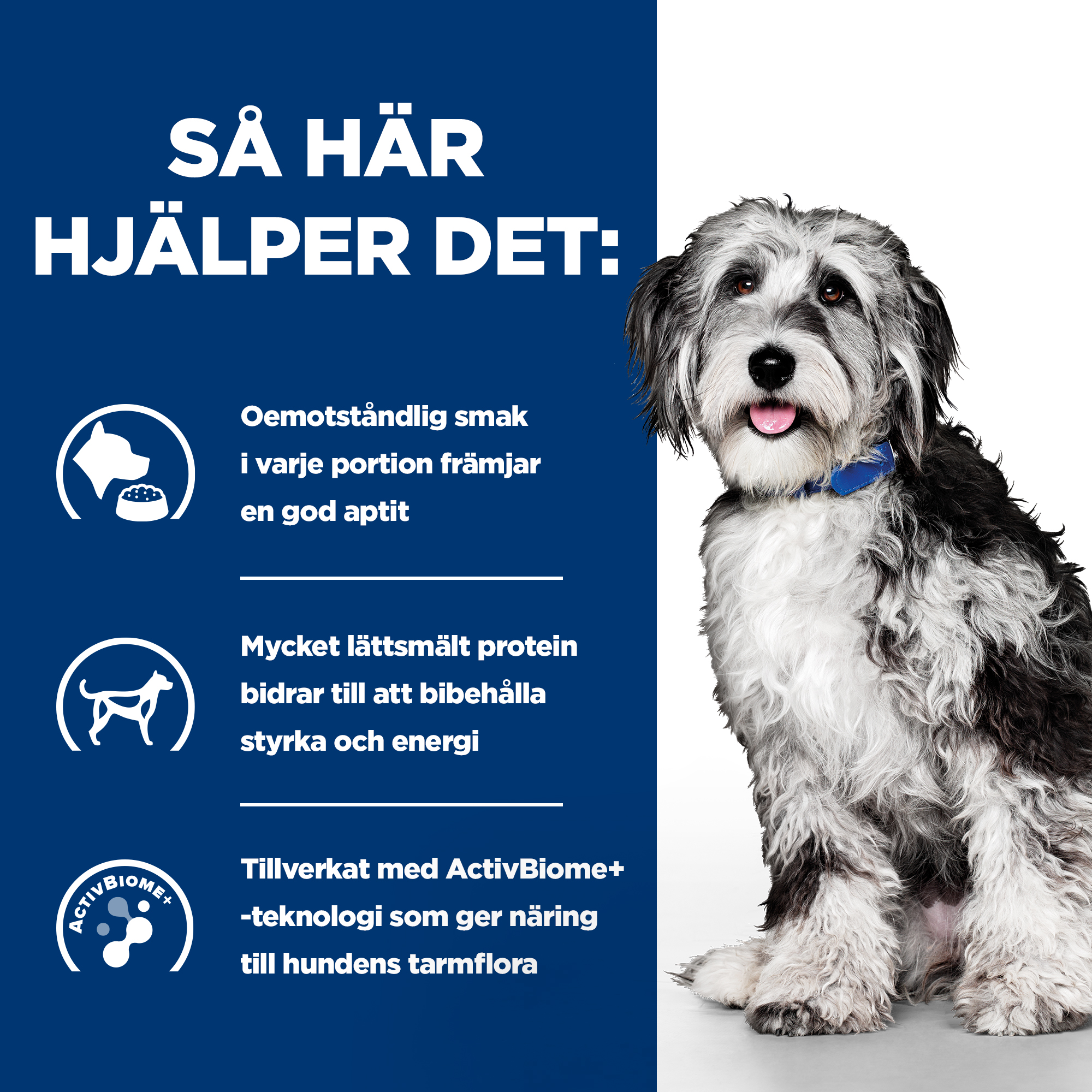 BK33875-Ongoing_How it Helps.jpg