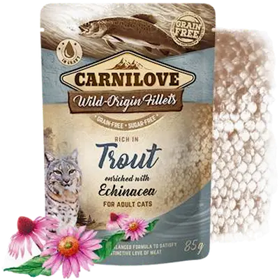 Cat Pouch Trout enriched with Echinacea