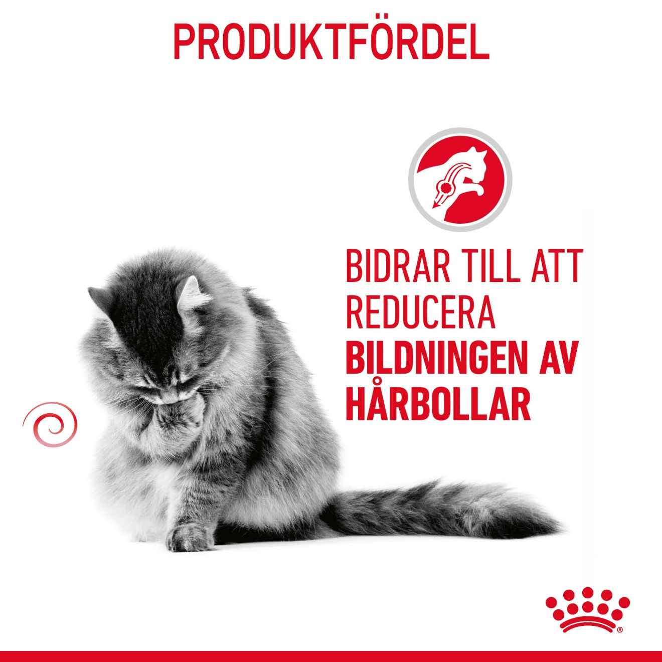 Hairball Care Adult