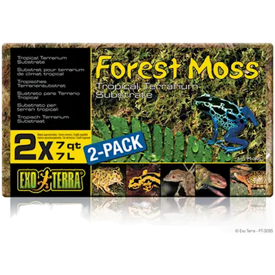 Forest Moss - Tropical Terrarium Substrate