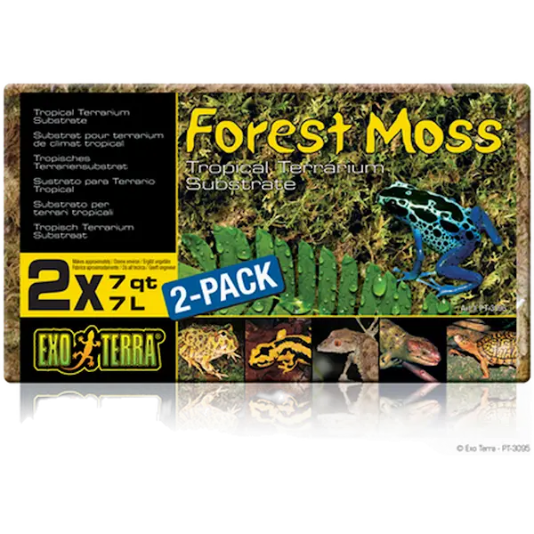Forest Moss - Tropical Terrarium Substrate