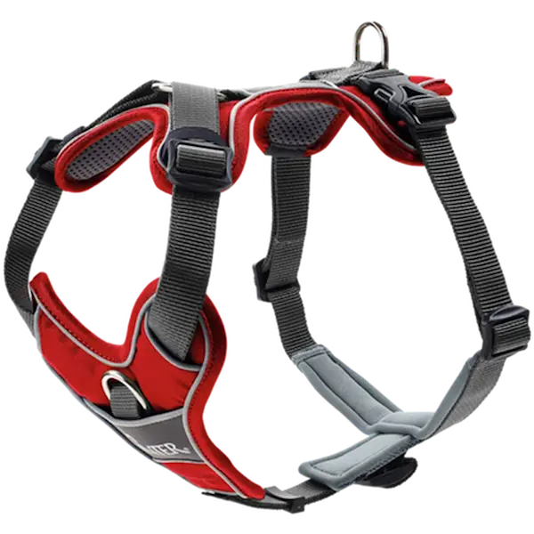 Dog Harness Divo Red/Grey XS Chest 34-47cm