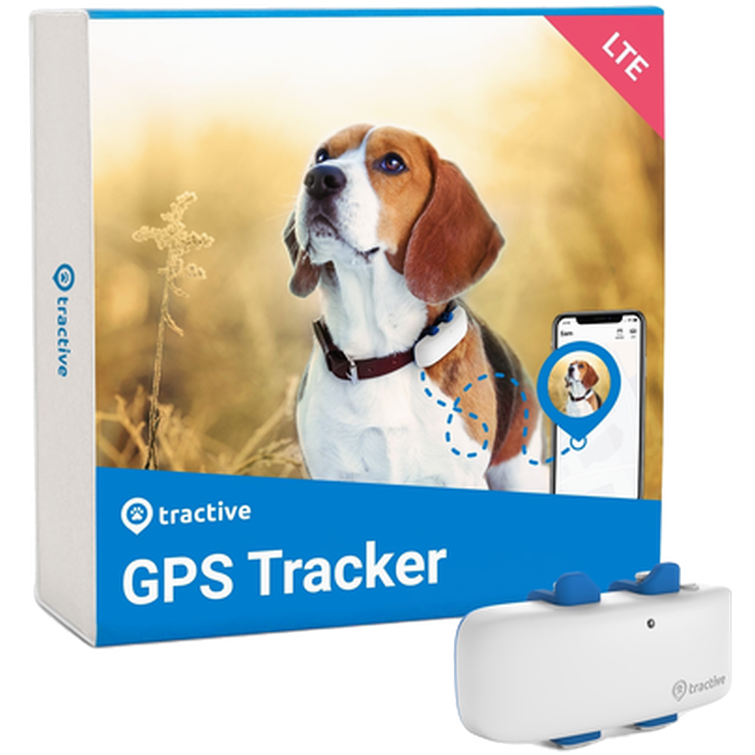 gps-activity-tracker-koirille-trdog-zoo-fi